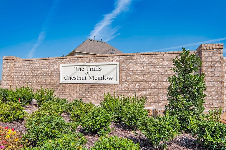 New Homes in Trails of Chestnut Meadows